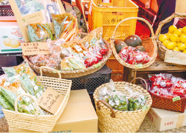 オーガニックフェスタかごしま