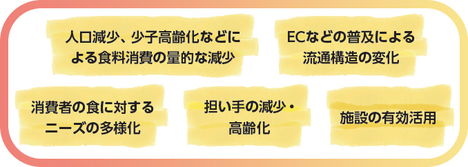人口減少、少子高齢化などによる食料消費の量的な減少 ECなどの普及による流通構造の変化 消費者の食に対するニーズの多様化 担い手の減少・高齢化 施設の有効活用