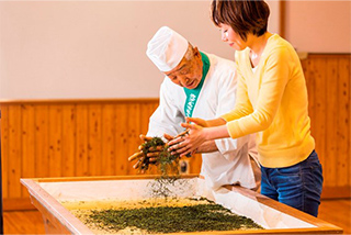 茶手もみ素人教室