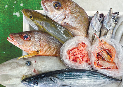 さつま黒潮市場（魚類市場）直送 季節のとれたて魚介類 詰め合わせ（4000円相当）