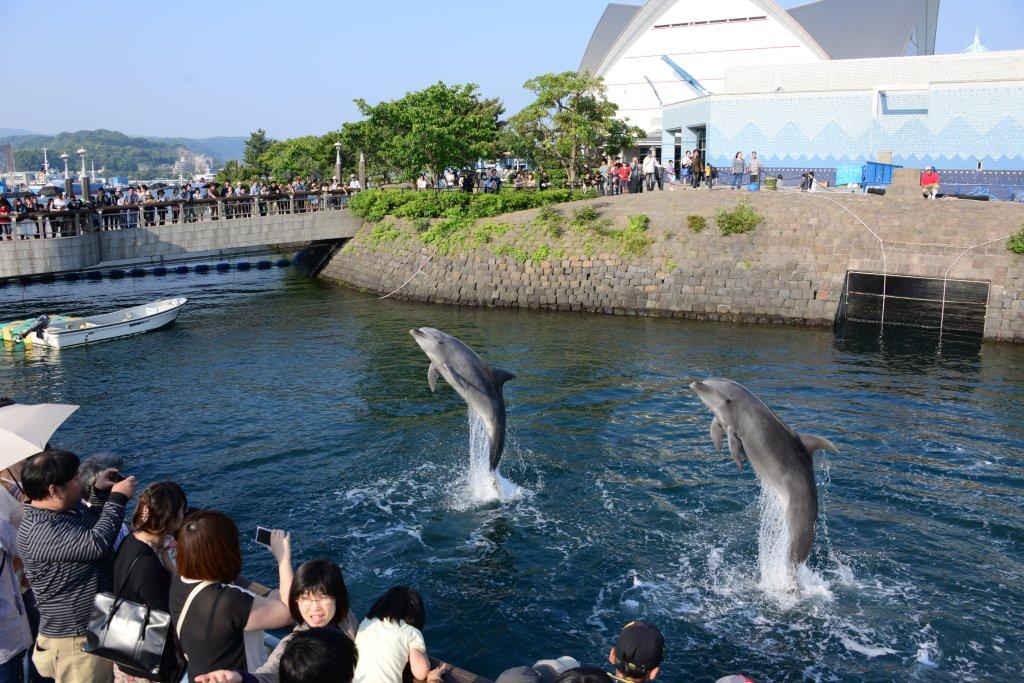 かごしま水族館