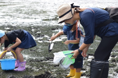 生物多様性ってなんだ？　～干潟の生きもの観察会～