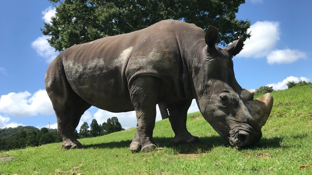 平川動物公園