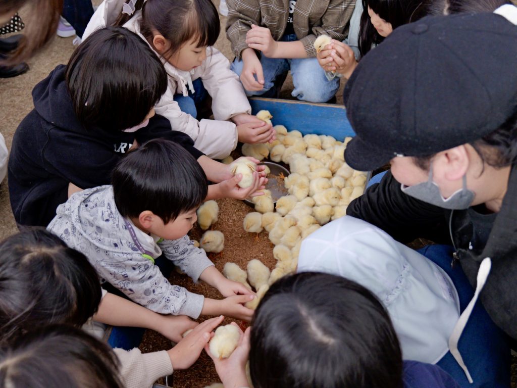 キッズフェスティバル　ふれあい動物園