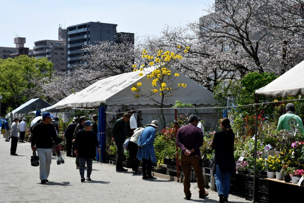 春の木市