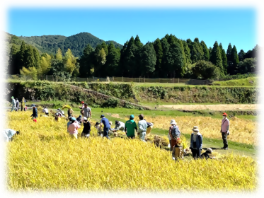 八重山公園 こどもこめ作り体験