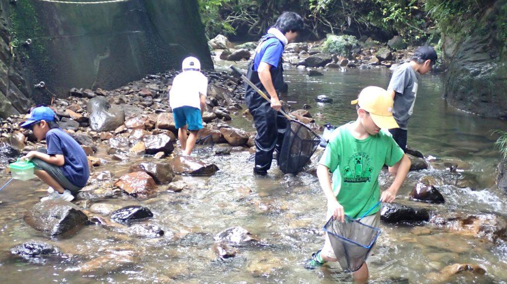 五位野川生き物観察会