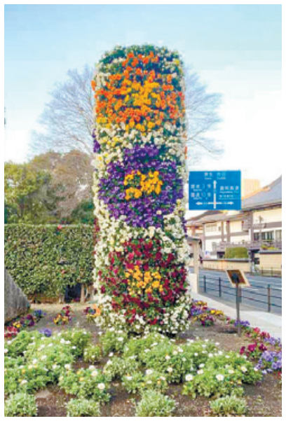 立体花壇のデザイン