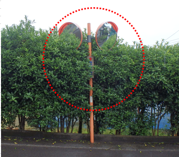 道路上に張り出した樹木などは剪定・伐採しましょう