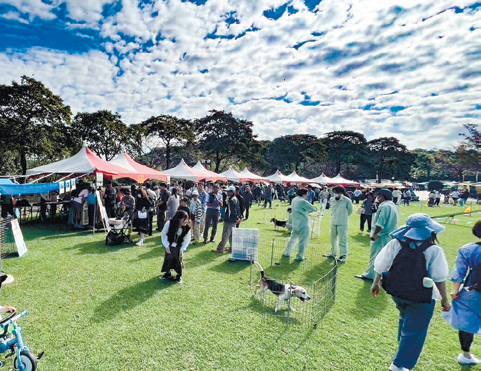動物愛護フェスティバル