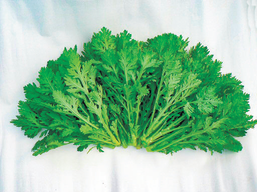 貸切バスで行く！食の産地交流会in伊敷