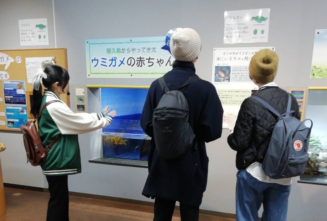 謎解きイベント「青色の手紙~約束の場所は水族館~」