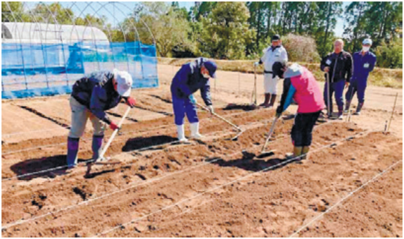 市民農業塾就農春期コース