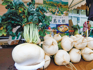 桜島大根PR即売会