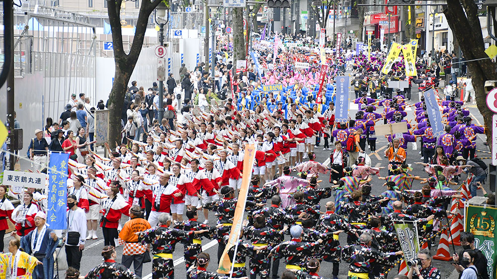 渋谷・鹿児島おはら祭踊り連募集