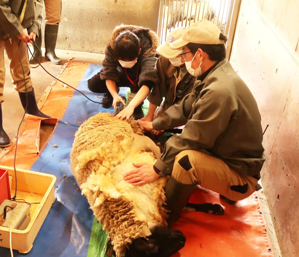 平川動物公園で思い出作り(動物の観察や記念撮影など)