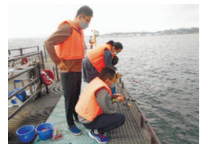 初心者フィッシングスクール