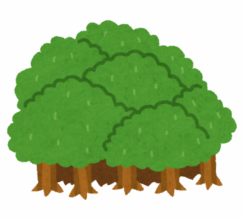 森林に関する届け出