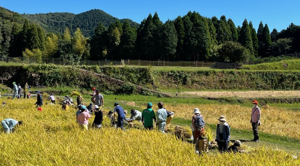 八重山公園 こどもこめ作り体験