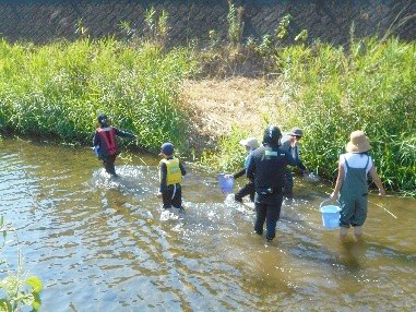 親子で環境講座～本名川の生き物しらべ～