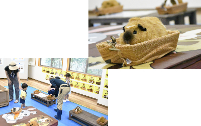 平川動物公園の動物も暑さ対策