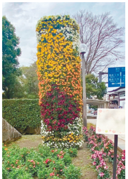 立体花壇
